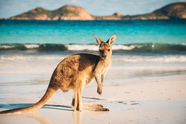 The Best way to Enjoy in Western Australia